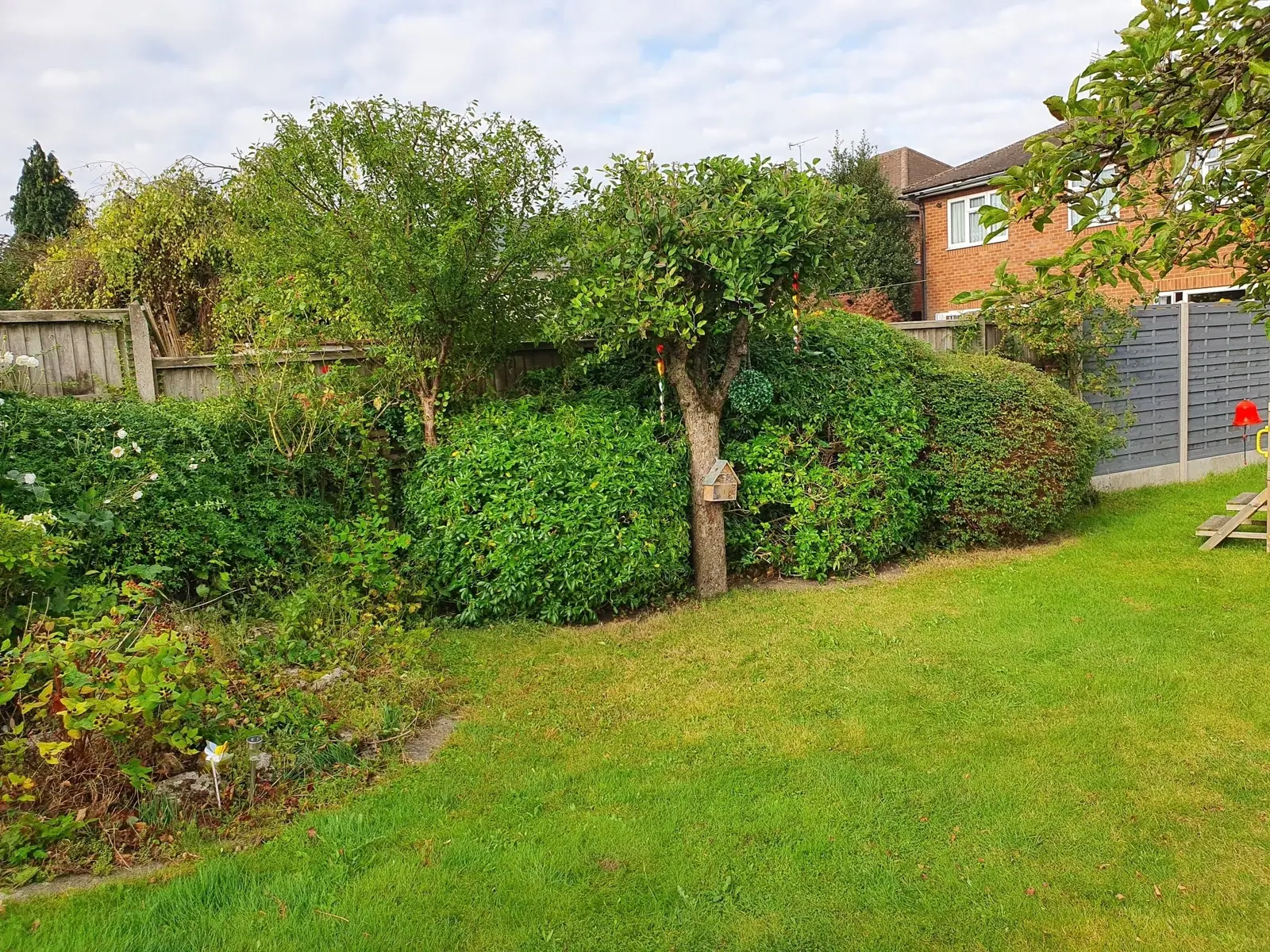 Private garden boundary with established planting