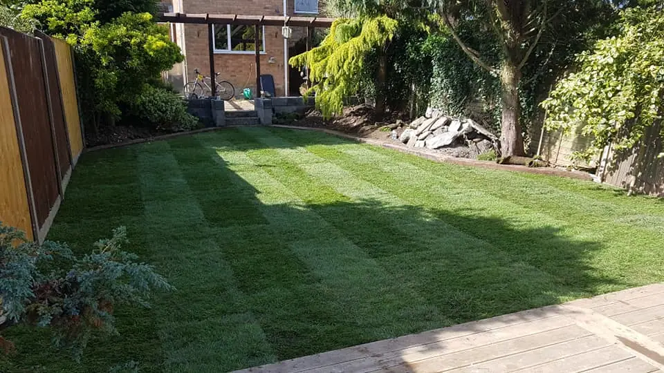 Finished lawn after garden landscaping