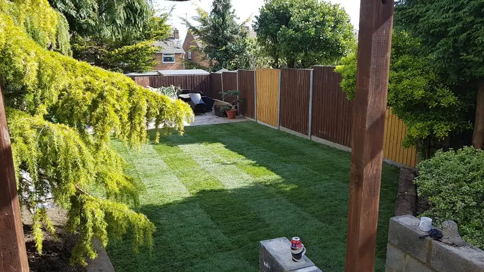 Completed garden lawn after landscaping