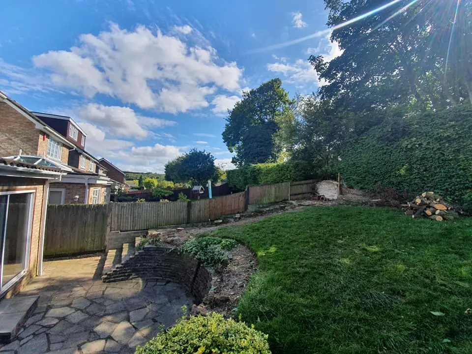 Overgrown garden tree requiring professional pruning
